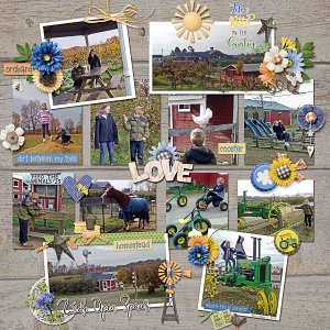 Life is Better at the Country Orchard