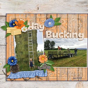 Hay Bucking