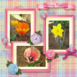 Pretty Spring Flowers