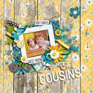 Cousins