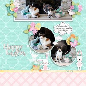 Easter Baskets
