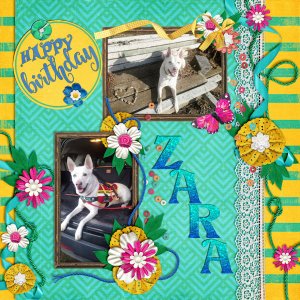 Happy Birthday Zara