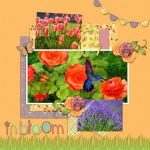 In Bloom