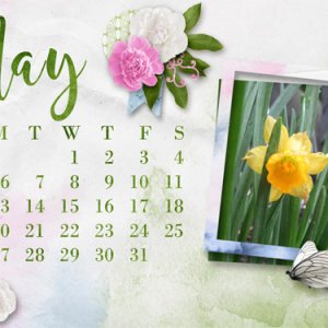 2019 May Desktop