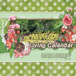 Living Calendar