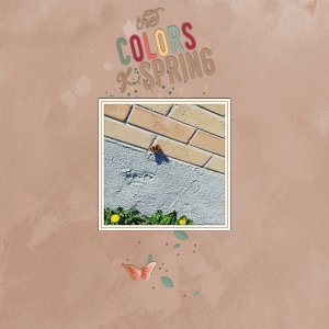 The colors of Spring
