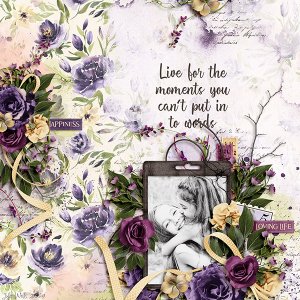 live for the moments