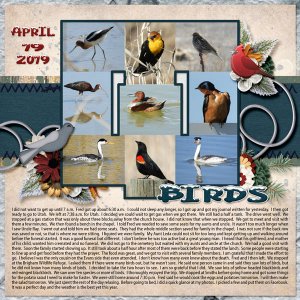 4-April_19_2019_small