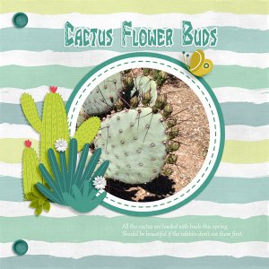 Cactus buds - scraplift