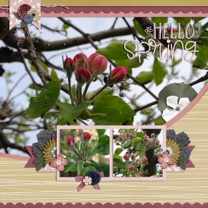 hello spring 2019