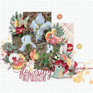 Flowering Spring