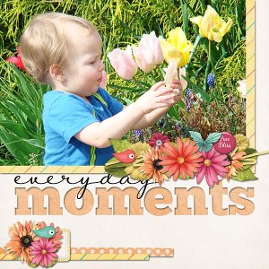 Follow-Your-Bliss-web