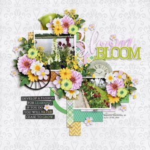 Bloom