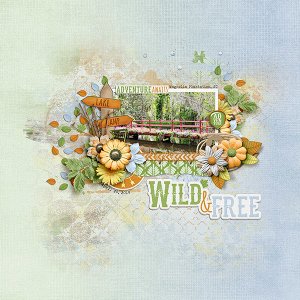 Wild and Free