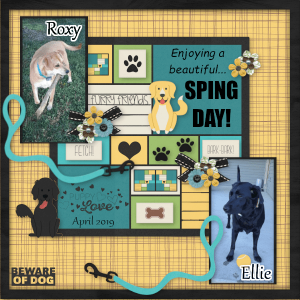 Back It Up Challenge April2019