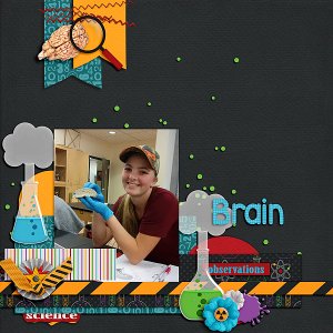 Brain