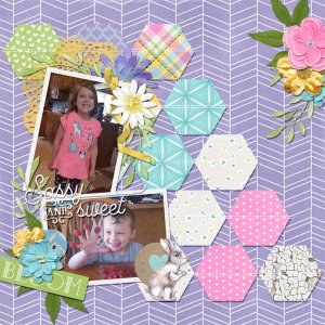 2019-04-20 Sassy+Sweet EverydayHex2_02