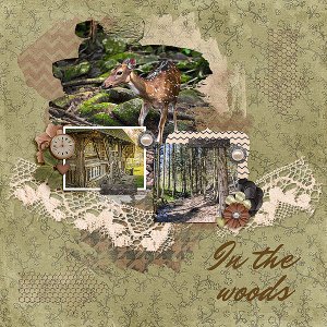 InTheWoods