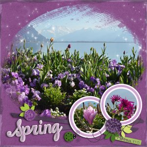Montreux Flowers