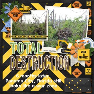Total Destruction