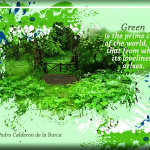 ATC 2019-055 Green