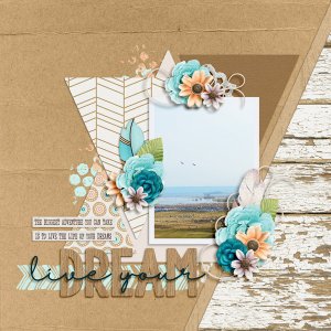 Live your dream