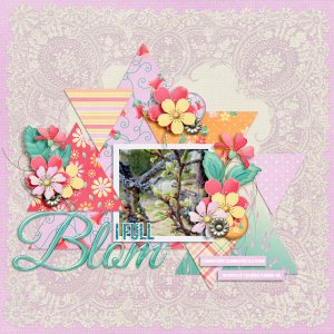 In full bloom