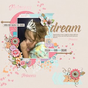 Sweet Dreams Princess