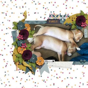 Puppy Bellies