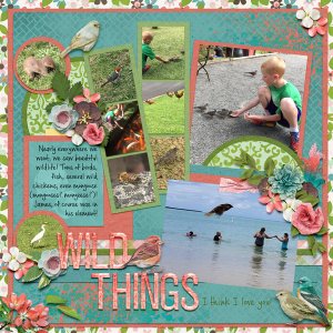 2017 HI Wildlife
