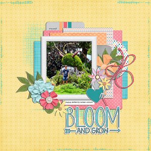 bloom and grow