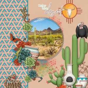 Desert Heat by Boomersgirl