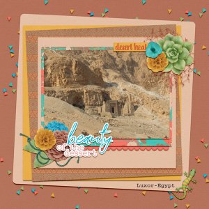 beauty of the desert