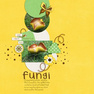 Fungi