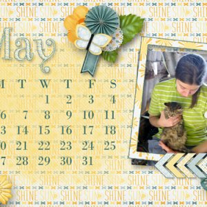 May19DesktopChallenge