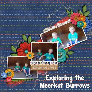 meerkat-burrow