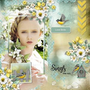 Birds of Spring