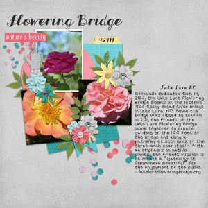 Lake Lure Flowering Bridge 1