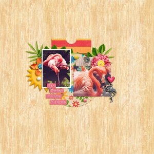 dt-simplysimple-temp_HipsterZoo