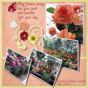 sandie03-FollowyourHeart Mayflowers