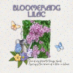 Bloomerang