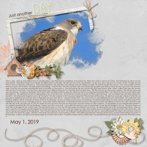 5-May_1_2019_small