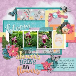 Bloom