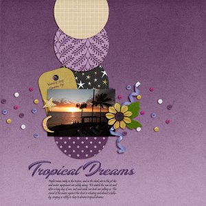 Tropical Dreams