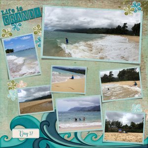 2017 Rope Swing Beach2
