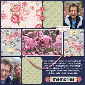 MEMORIES