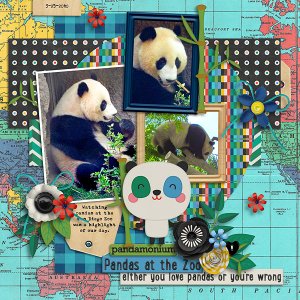 2010 Pandas at San Diego Zoo