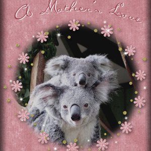 ATC 2019-056 A Mother