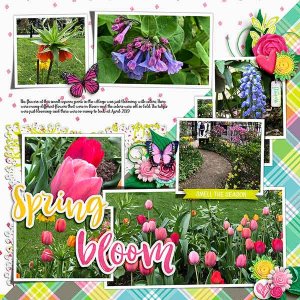 villageblooms