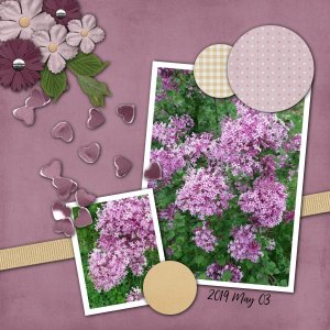 Lilac